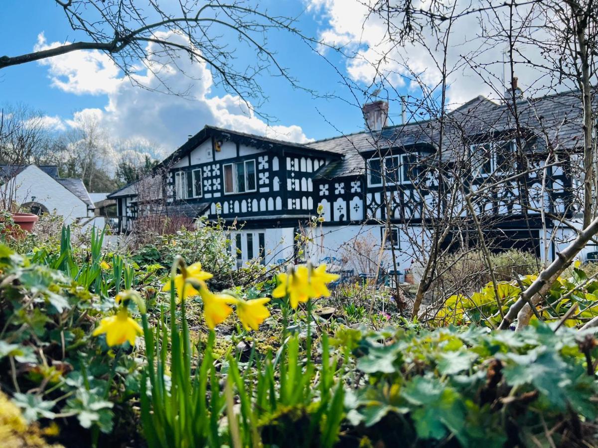 Pentre Cerrig Guest house Llanferres